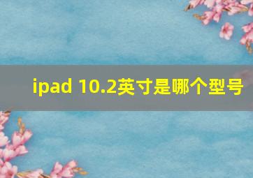 ipad 10.2英寸是哪个型号